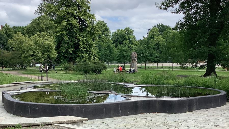 Dammen i Vasaparken, vid Biotopia